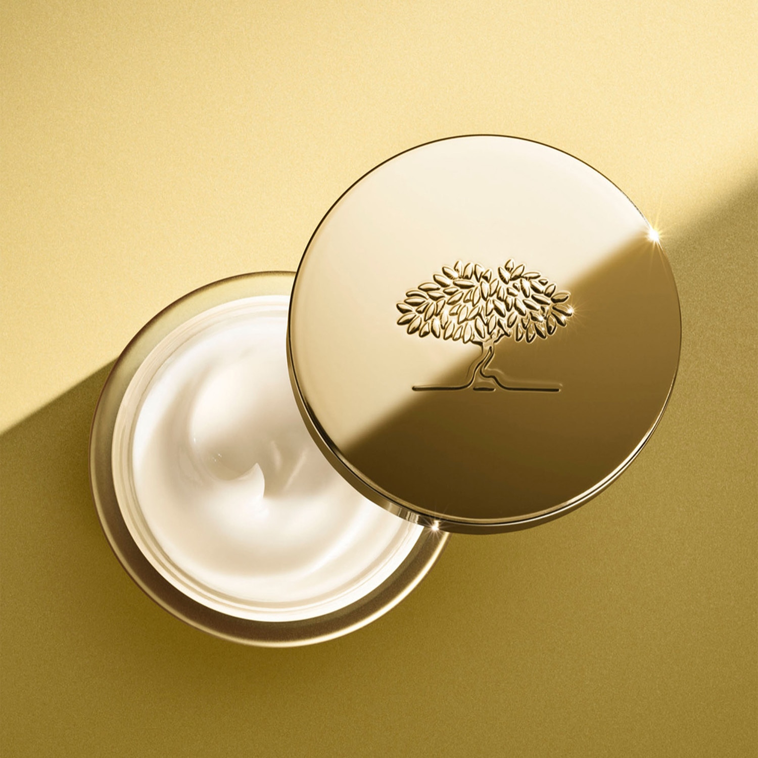 NUXURIANCE ULTRA EXCEPTIONAL CREAM (CREMA ANTI-EDAD DÍA Y NOCHE)